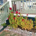 Mango Delight - 3 bedroom Caribbean Vacation Home