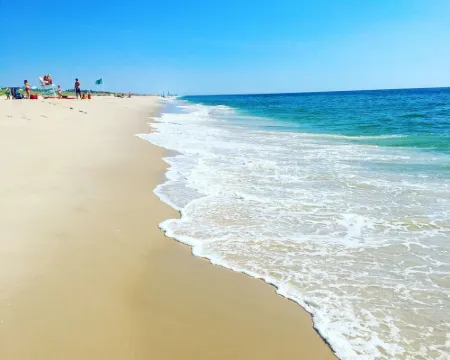 Private cottage at the entrance of Island Beach State Park Hotels in Berkeley