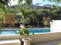 Off grid living! Enjoy and love the Nature! Hotels in Savaneta