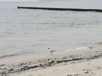 Diese Ferienwohnung Befindet Sich am Wanderweg zum Königsstuhl Hotels in Lohme