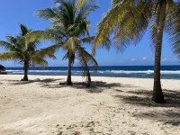 Anse des Rochers Lovely "Fruit passion" studio with sea view.