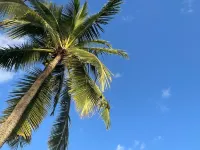 Tales of Pacific : F2 Central et Spacieux, Piscine, Salle de Sport et vue mer Hotels in Faaa