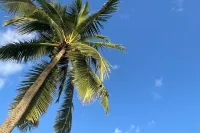 Tales of Pacific : F2 Central et Spacieux, Piscine, Salle de Sport et vue mer