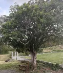 In the heart of nature Hotels in Saint-Louis