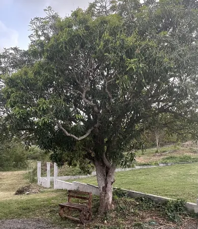 In the heart of nature