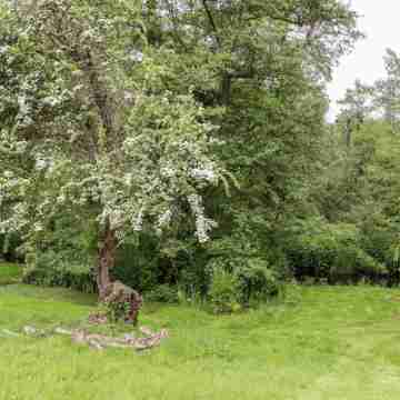 The Snug at Pickelden Farmhouse Others