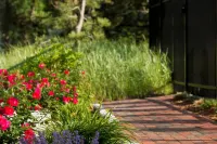 Wellfleet Motel & Lodge