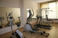 Ambasador Centrum Hotel Lodz - Gym