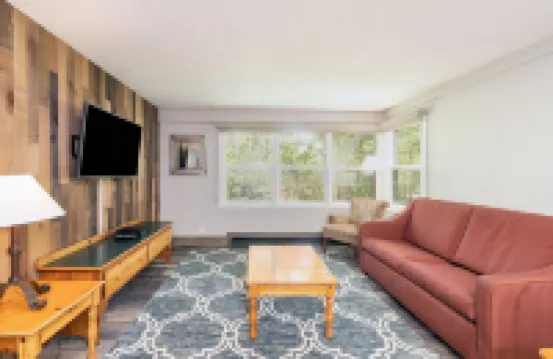 山邊旅館113一臥室公寓，由阿爾卑斯洛奇特柳萊德提供