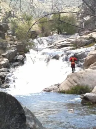 Riverview Lodge Отели в г. Бодфиш