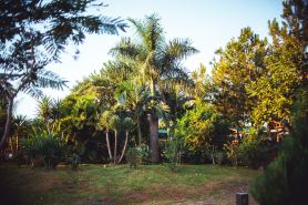 Irova Apart Hotel
