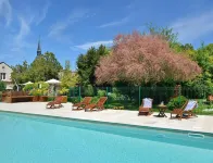 Logis Auberge du Centre Hotels in Contres