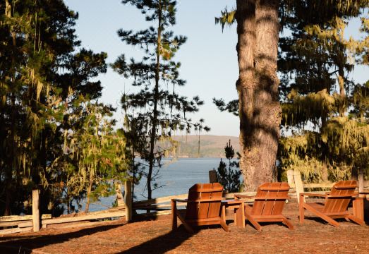 1. 마르코니의 로지..