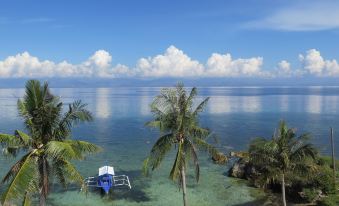 The Wild Orchid Resort - Moalboal