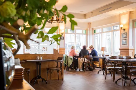 Brinkhotel Отели в г. Zuidbroek