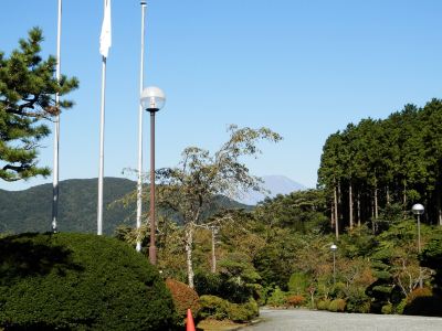 ホテル周辺 ホテル花月園の写真