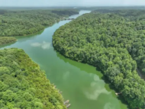 Lakeside Family Escape-Modern log home in secluded cove w/pvt. dock, Sleeps 12