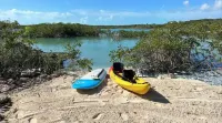 Blue Hole Lodge - Bonefish Heaven with Blue Hole in Backyard