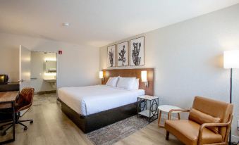 Kokopelli Inn Sedona, Trademark Collection by Wyndham