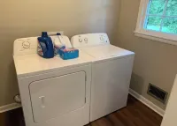 The Owl and Magnolia