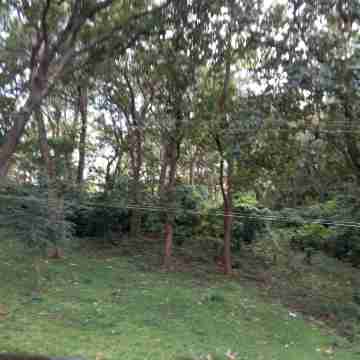 WILD WINDOW Homestay in front of Periyar Tiger Reserve forest Others