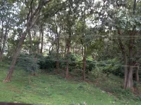 WILD WINDOW Homestay in front of Periyar Tiger Reserve forest