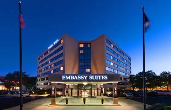 希爾頓安泊酒店-泰森斯角