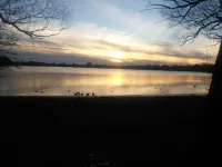 Downtown Peterborough property, lake view; walk to cafes, pubs theatre & beaches