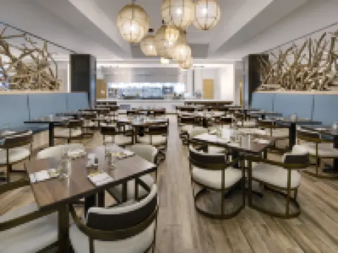 Embassy Suites by Hilton St Augustine Beach Oceanfront Resort Hotels in St. Augustine Beach