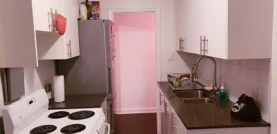 BRIGHT COZY/WARM 1 BEDROOM APARTMENT ON DUFFERIN Hotel a York