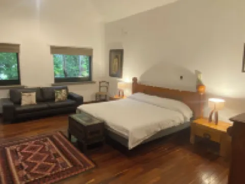 House among trees. فنادق في 