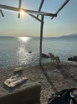 Farmhouse in an olive grove in Pelion Greece near Volos directly by the sea Hotels in Afissos