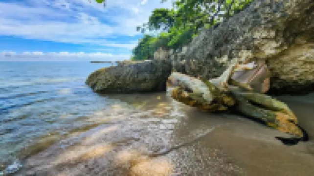 Ocean-Front Villa~ Beach, Pool, Tennis, 24hr Security, Solar, WiFi, Playground