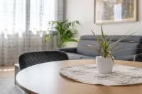 Cozy, newly renovated apartment in the heart of Pozzoleone