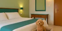 Hotel Panoramic - Einfaches Doppel- Oder Zweibettzimmer
