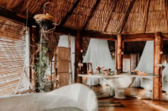 6 Day- Divine Embodi Retreat Space- Power Detox, Mental Reset