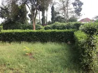 Home away from home for the coolest moments of stay. Hotels in 