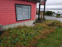 Gordie's Inn & Suites
