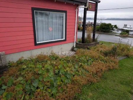 Gordie's Inn & Suites Отели в г. Сойнчула