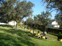 Holiday Home in Tajo with Pool, Terrace