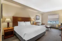 Best Western Plus Service Inn  Suites Hotel a Lethbridge