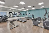Holiday Inn Express & Suites PLANO EAST - RICHARDSON by IHG - Gym