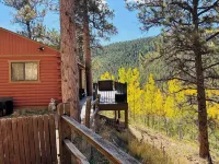 Cozy Boutique Mtn Cabin, Hot Tub, Views, Privacy, Dogs OK, Sleeps 1 to 4 Guests