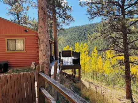 Cozy Boutique Mtn Cabin, Hot Tub, Views, Privacy, Dogs OK, Sleeps 1 to 4 Guests