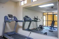 馬塔莫羅斯廣場貝斯特韋斯特酒店 - 健身室/gym room