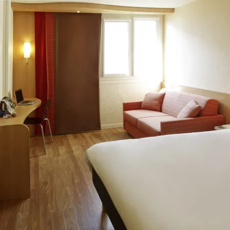 Ibis Roanne