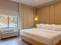 The Chandler at White Mountains, an Ascend Hotel Collection Membe Hotels in Bethlehem