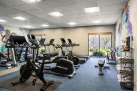 Hyatt Place Detroit Utica - Gym