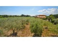 Cottage in Buger with Private Pool & Views