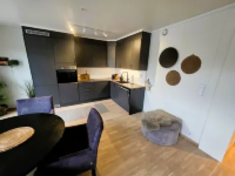 Nice apartment in the center of Trysil 403 トリシルのホテル